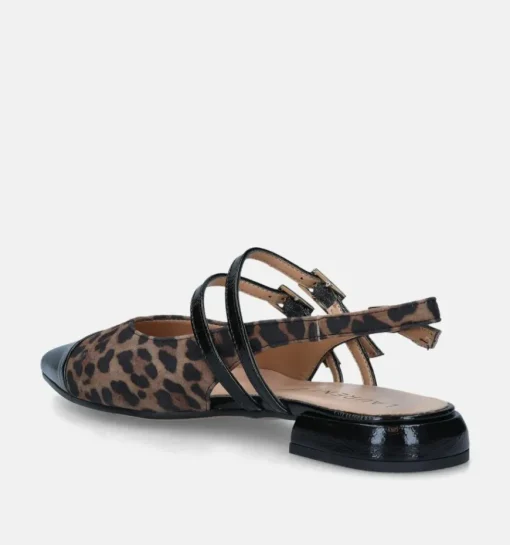 DAMES Laurent David Ballerina's