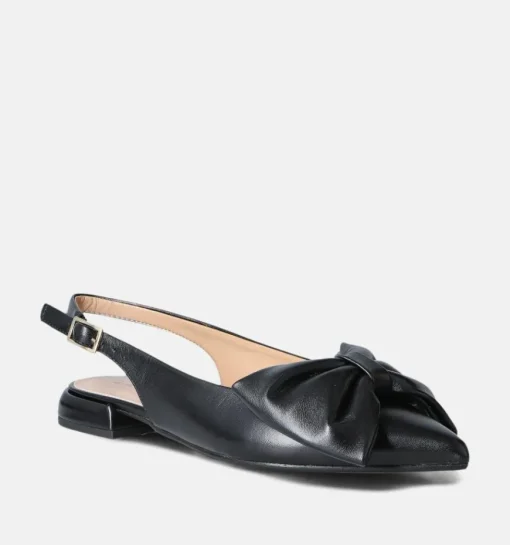 DAMES Laurent David Ballerina's