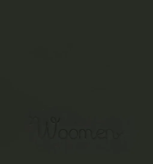 DAMES Woomen Crossbodytas
