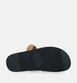 DAMES Steve Madden Slippers