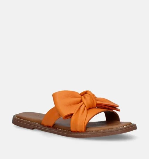 DAMES Tango Slippers